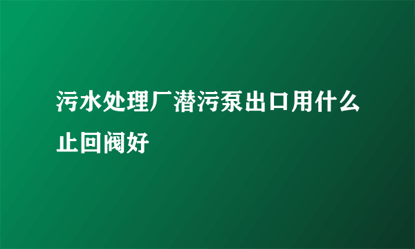 污水处理厂潜污泵出口用什么止回阀好