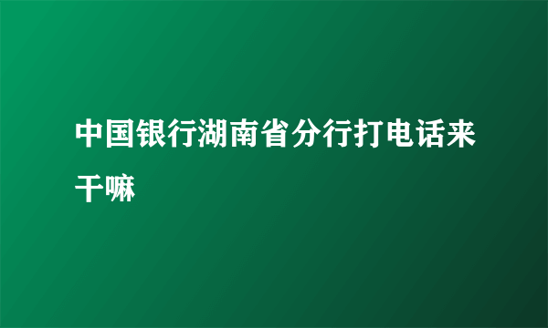 中国银行湖南省分行打电话来干嘛