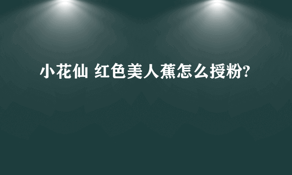 小花仙 红色美人蕉怎么授粉?