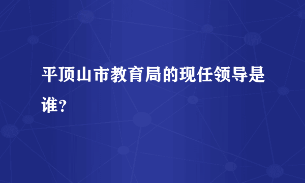 平顶山市教育局的现任领导是谁？