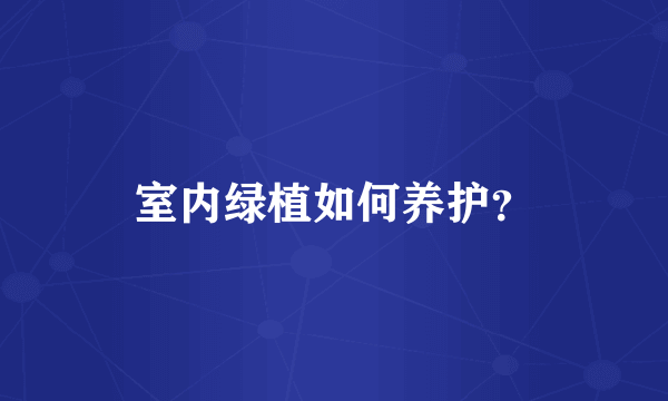 室内绿植如何养护？