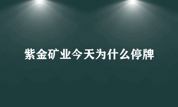 紫金矿业今天为什么停牌