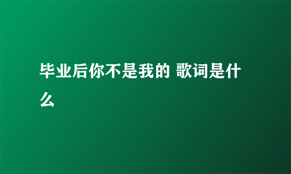 毕业后你不是我的 歌词是什么