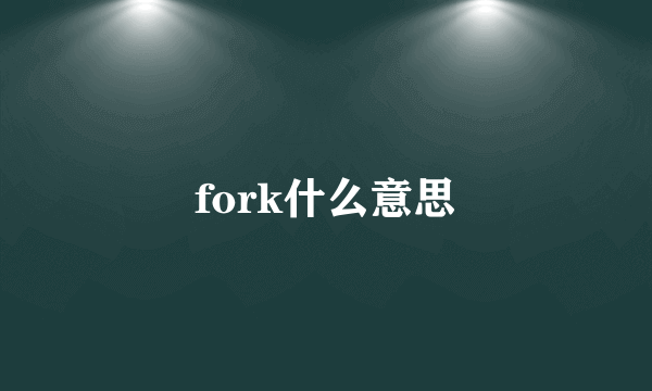 fork什么意思