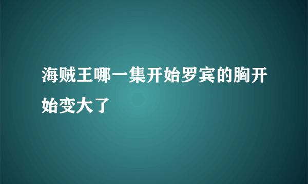 海贼王哪一集开始罗宾的胸开始变大了