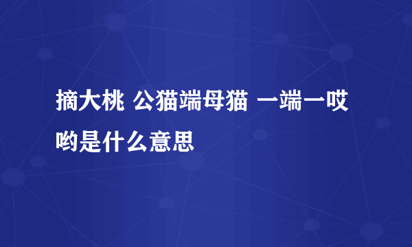 摘大桃 公猫端母猫 一端一哎哟是什么意思