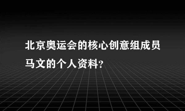 北京奥运会的核心创意组成员马文的个人资料？