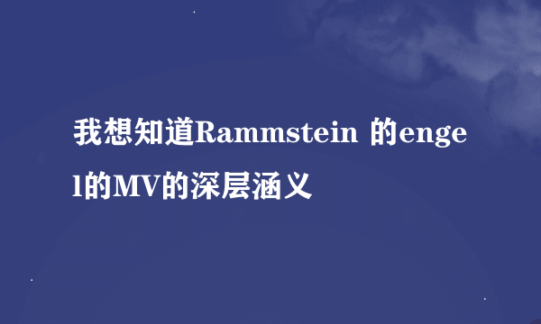 我想知道Rammstein 的engel的MV的深层涵义