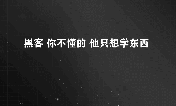 黑客 你不懂的 他只想学东西