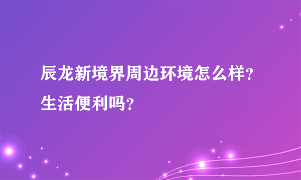 辰龙新境界周边环境怎么样？生活便利吗？