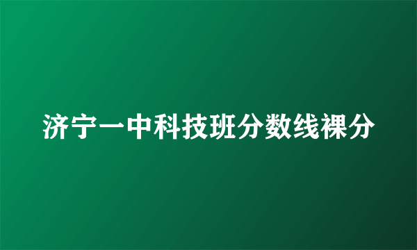 济宁一中科技班分数线裸分