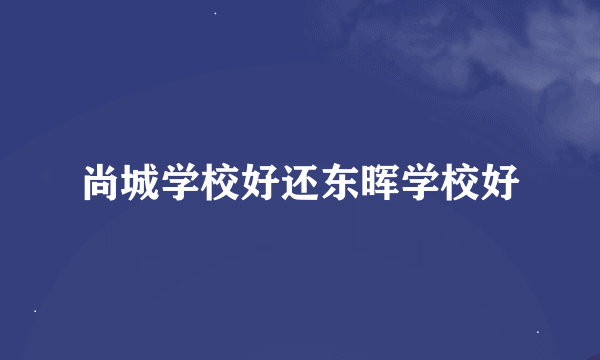 尚城学校好还东晖学校好