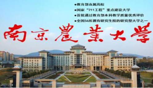 njau是什么大学