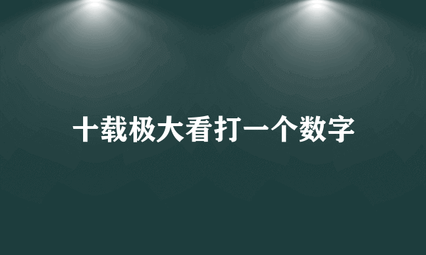 十载极大看打一个数字