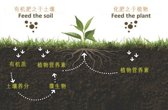 肥料是什么意思?