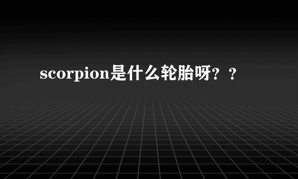 scorpion是什么轮胎呀？？