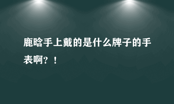 鹿晗手上戴的是什么牌子的手表啊？！