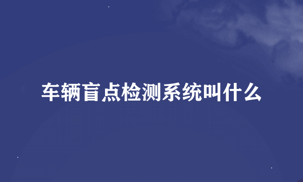 车辆盲点检测系统叫什么