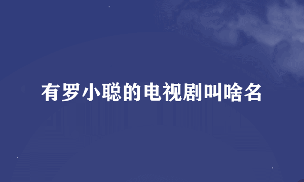 有罗小聪的电视剧叫啥名