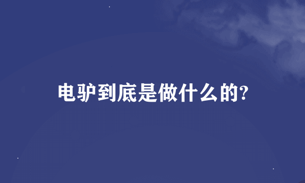 电驴到底是做什么的?