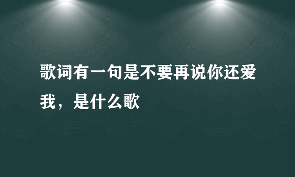 歌词有一句是不要再说你还爱我，是什么歌