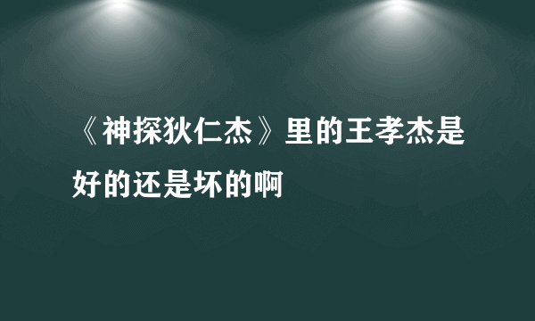 《神探狄仁杰》里的王孝杰是好的还是坏的啊