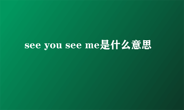 see you see me是什么意思