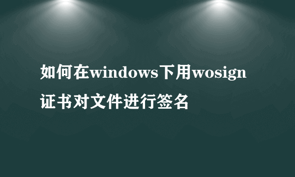 如何在windows下用wosign证书对文件进行签名