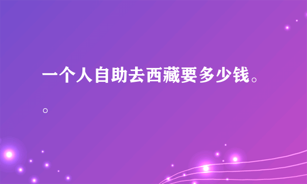 一个人自助去西藏要多少钱。。