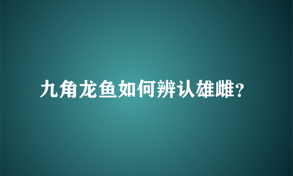 九角龙鱼如何辨认雄雌？