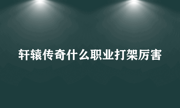 轩辕传奇什么职业打架厉害