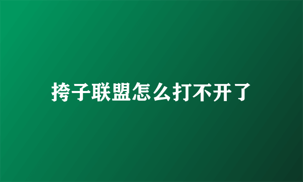 挎子联盟怎么打不开了