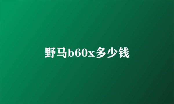 野马b60x多少钱