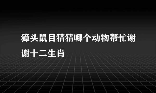 獐头鼠目猜猜哪个动物帮忙谢谢十二生肖