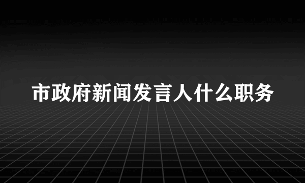 市政府新闻发言人什么职务