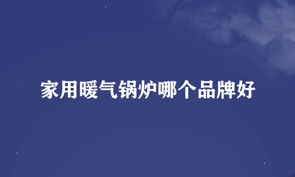 家用暖气锅炉哪个品牌好