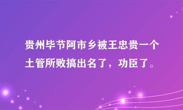 贵州毕节阿市乡被王忠贵一个土管所败搞出名了，功臣了。