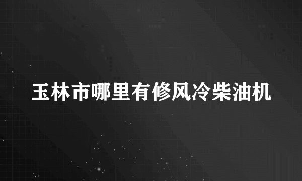 玉林市哪里有修风冷柴油机