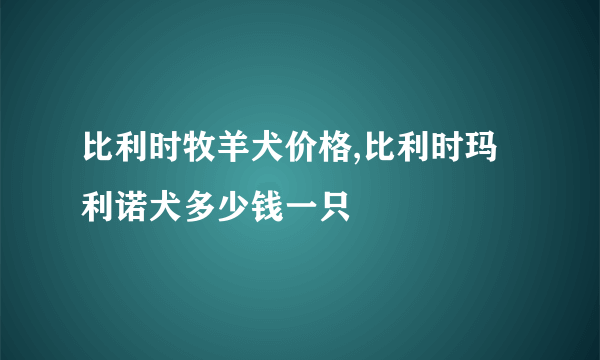 比利时牧羊犬价格,比利时玛利诺犬多少钱一只