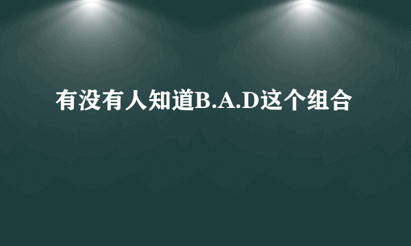 有没有人知道B.A.D这个组合