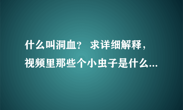 什么叫洞血？ 求详细解释，视频里那些个小虫子是什么东西啊？好恶心的说......