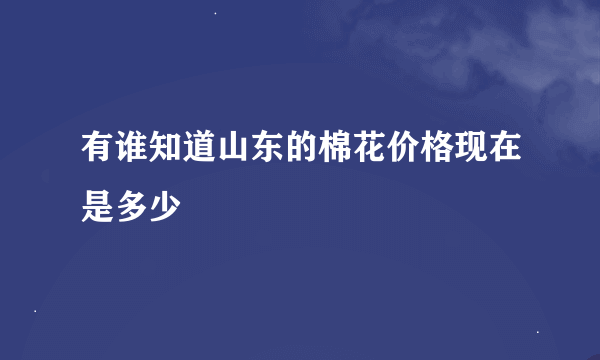 有谁知道山东的棉花价格现在是多少