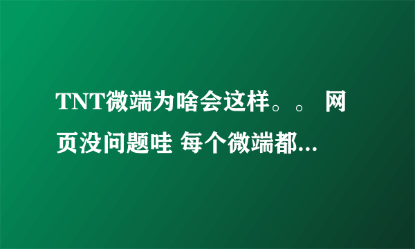 TNT微端为啥会这样。。 网页没问题哇 每个微端都这样 我只是重启了一下