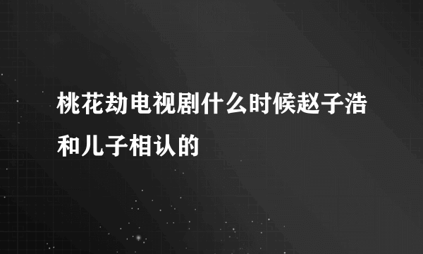 桃花劫电视剧什么时候赵子浩和儿子相认的