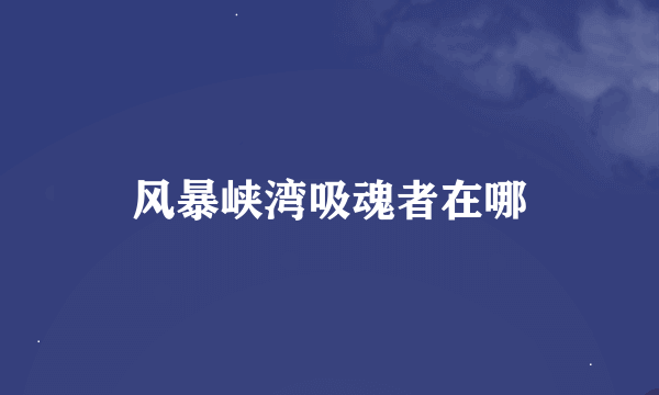 风暴峡湾吸魂者在哪