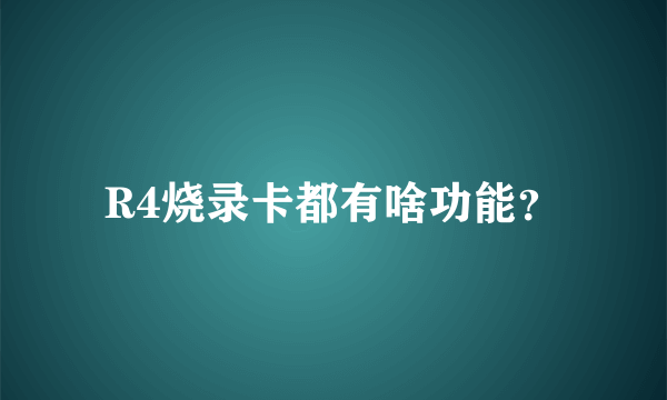 R4烧录卡都有啥功能？