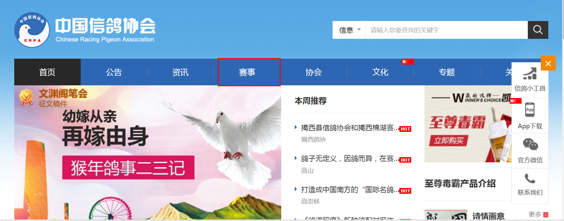 中国信鸽协会赛事直播平台首页