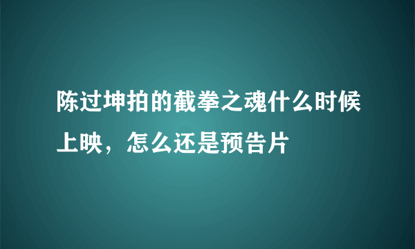 陈过坤拍的截拳之魂什么时候上映，怎么还是预告片