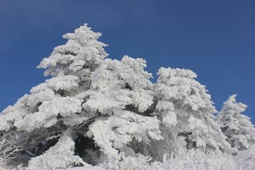 粉妆玉砌什么意思？