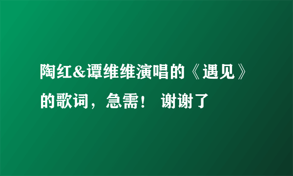 陶红&谭维维演唱的《遇见》的歌词，急需！ 谢谢了